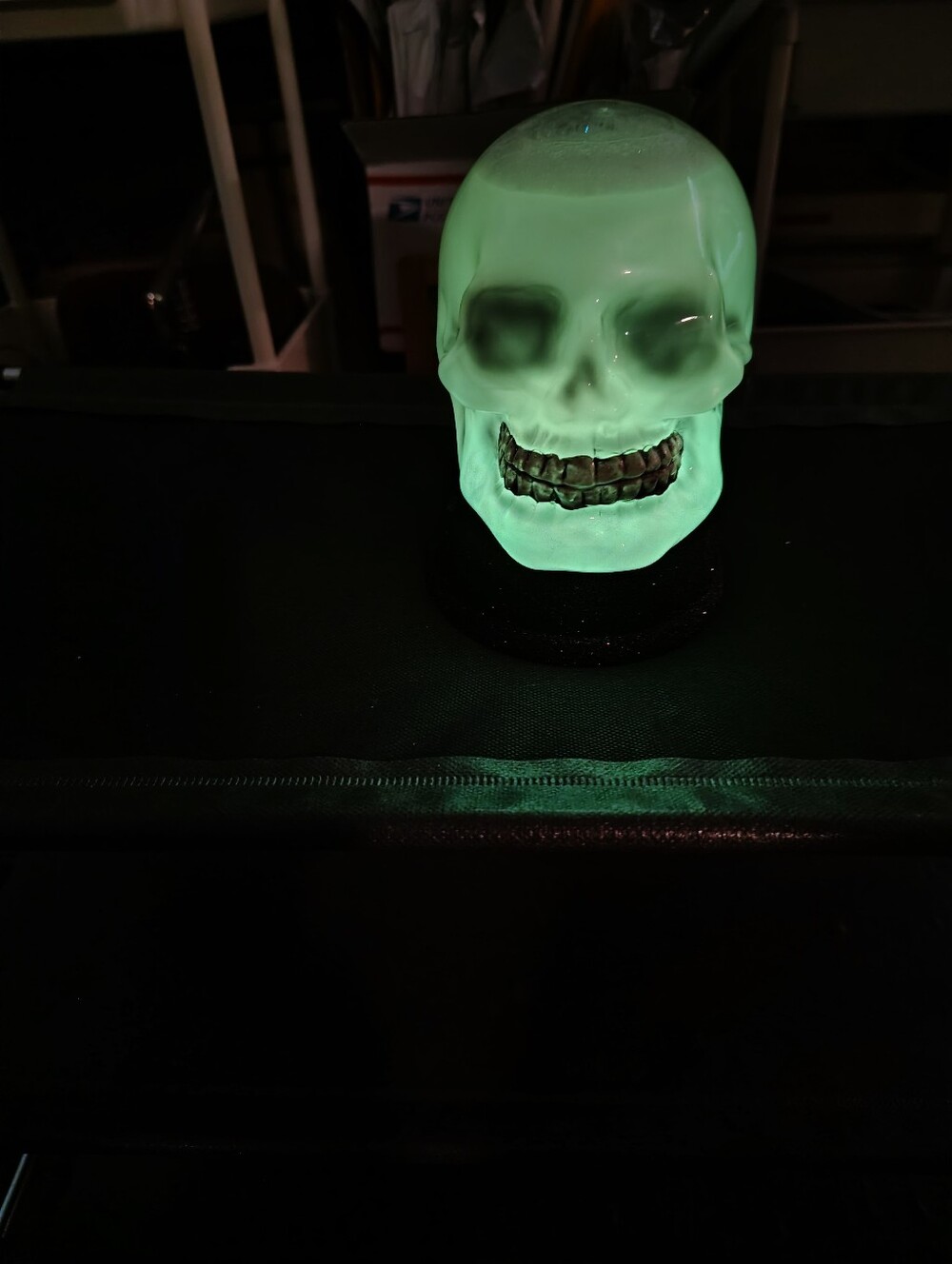 Light Up Halloween Goth Glowing Skull Decoration Lamp- Color Changing LED Spooky